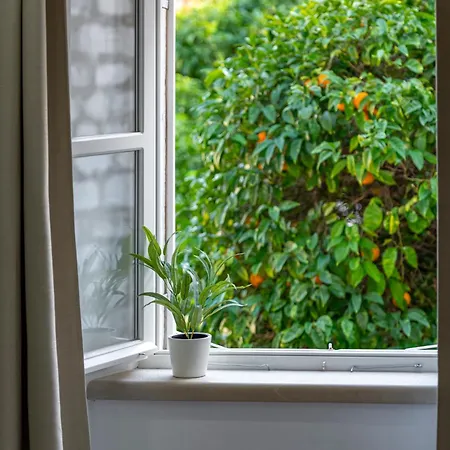 Sounds Of * 두브로브니크