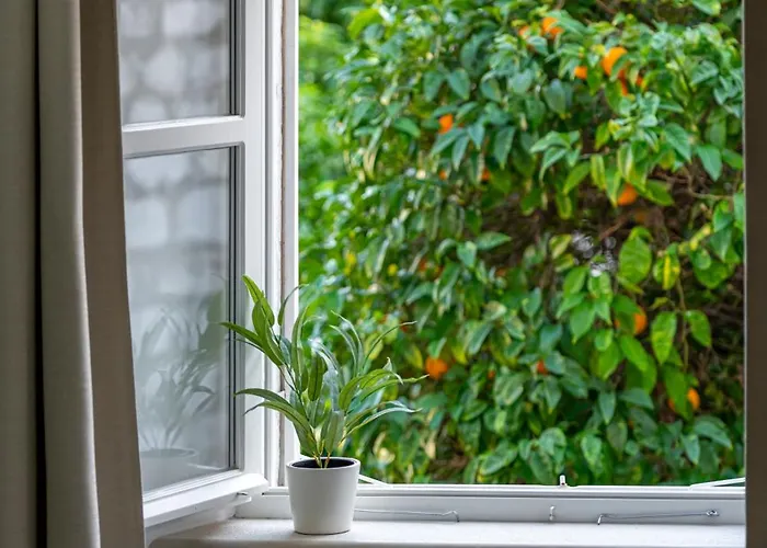 Sounds Of * Dubrovnik